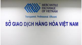 Sở giao dịch hàng hóa Việt Nam MXV là gì ? có hợp pháp hay không